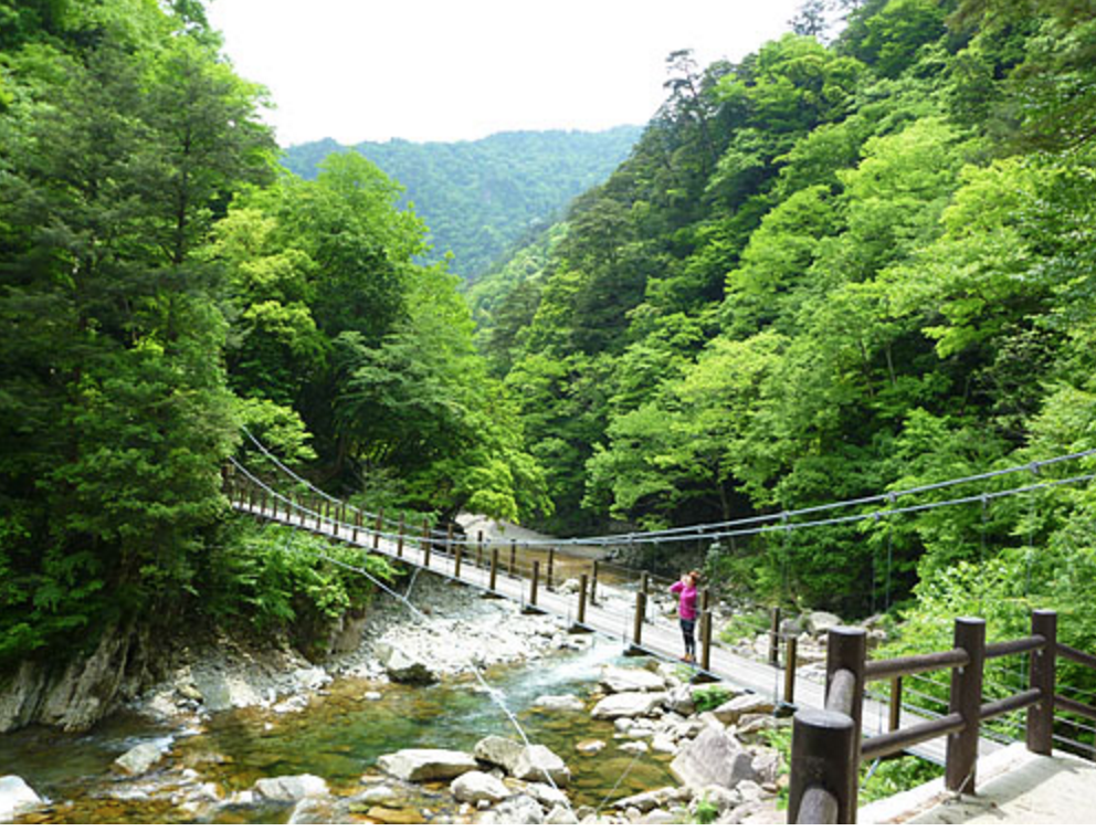 日本百景の名勝！夏は広島県にある美しい峡谷「三段峡」に観光してみよう！
