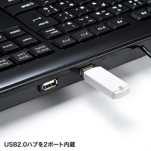 「SKB-SL21UHBK」USBポート2つ